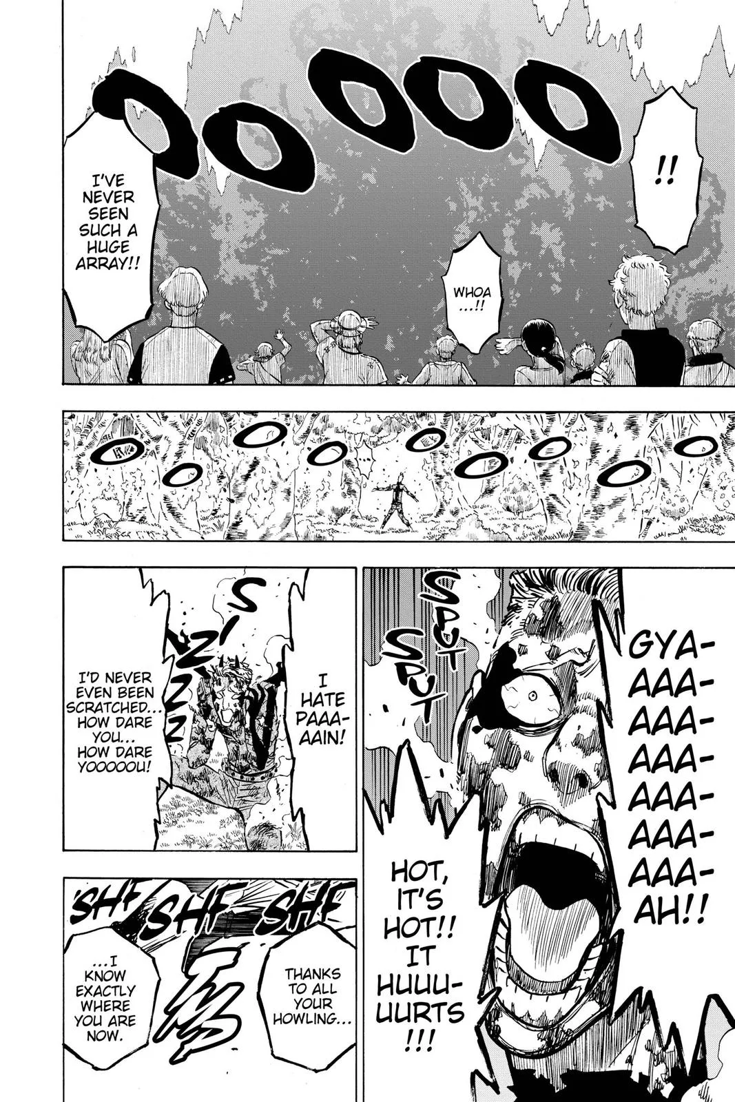 Black Clover - Chapter 247 - Page 13